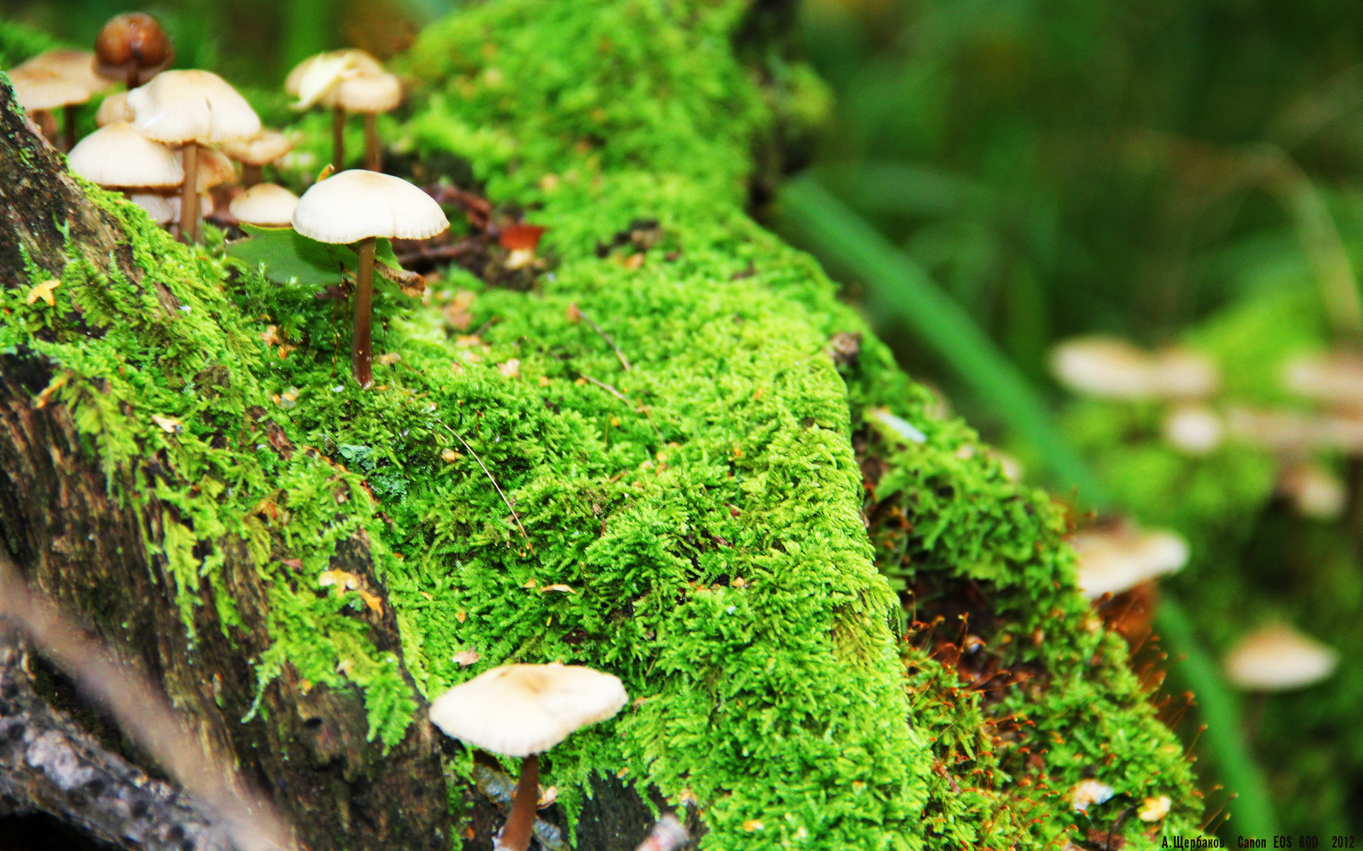 星空官网-赛后热图分析揭示跑动距离变化与得失球之间存在强相关性，球员跑动距离数据