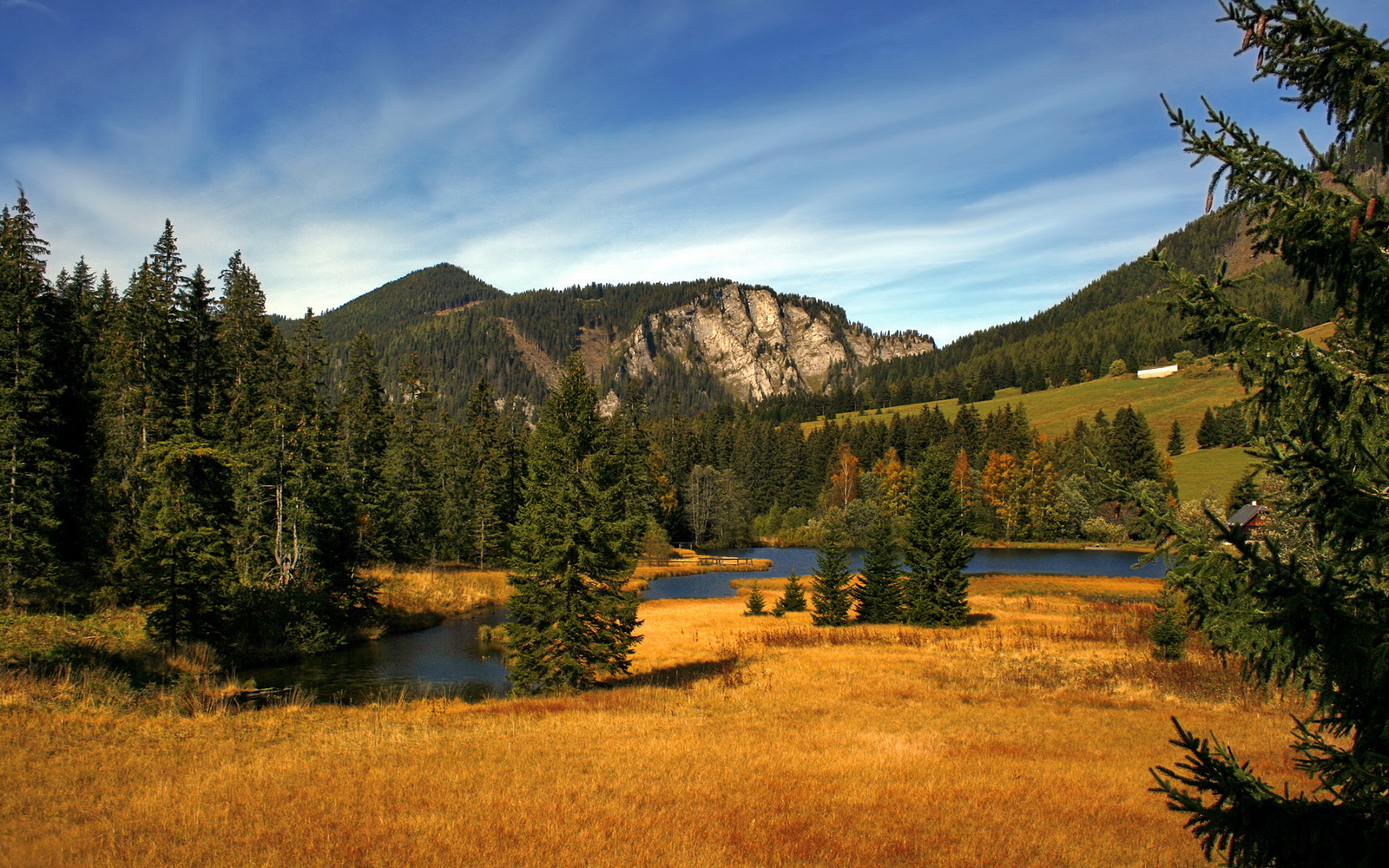 Xingkong-跨界合作推动足球运动与文化创意深度融合,跨界合作推动足球运动与文化创意深度融合的例子
