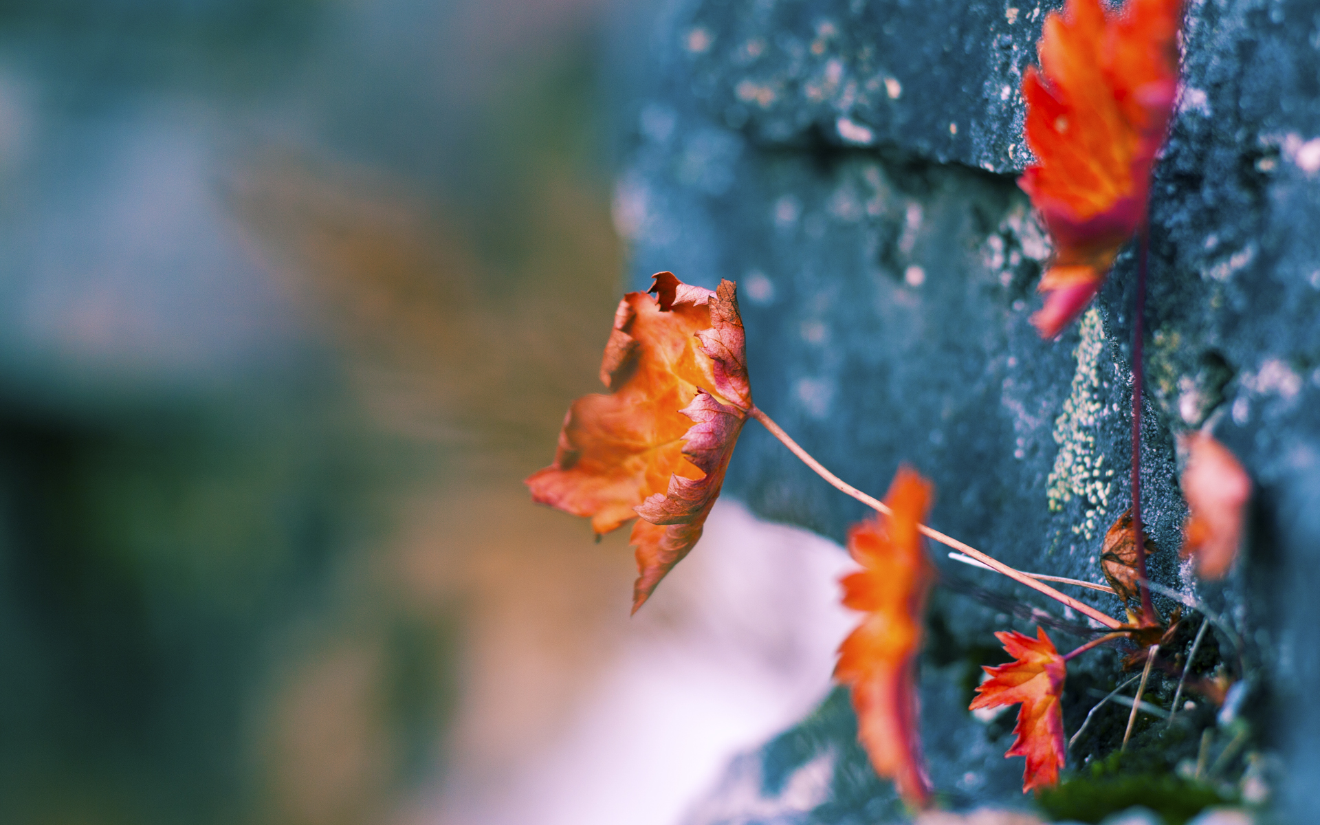 星空体育首页-马里特·斯滕伯根赛场风采尽显未来潜力，马尔滕·斯特克伦博格