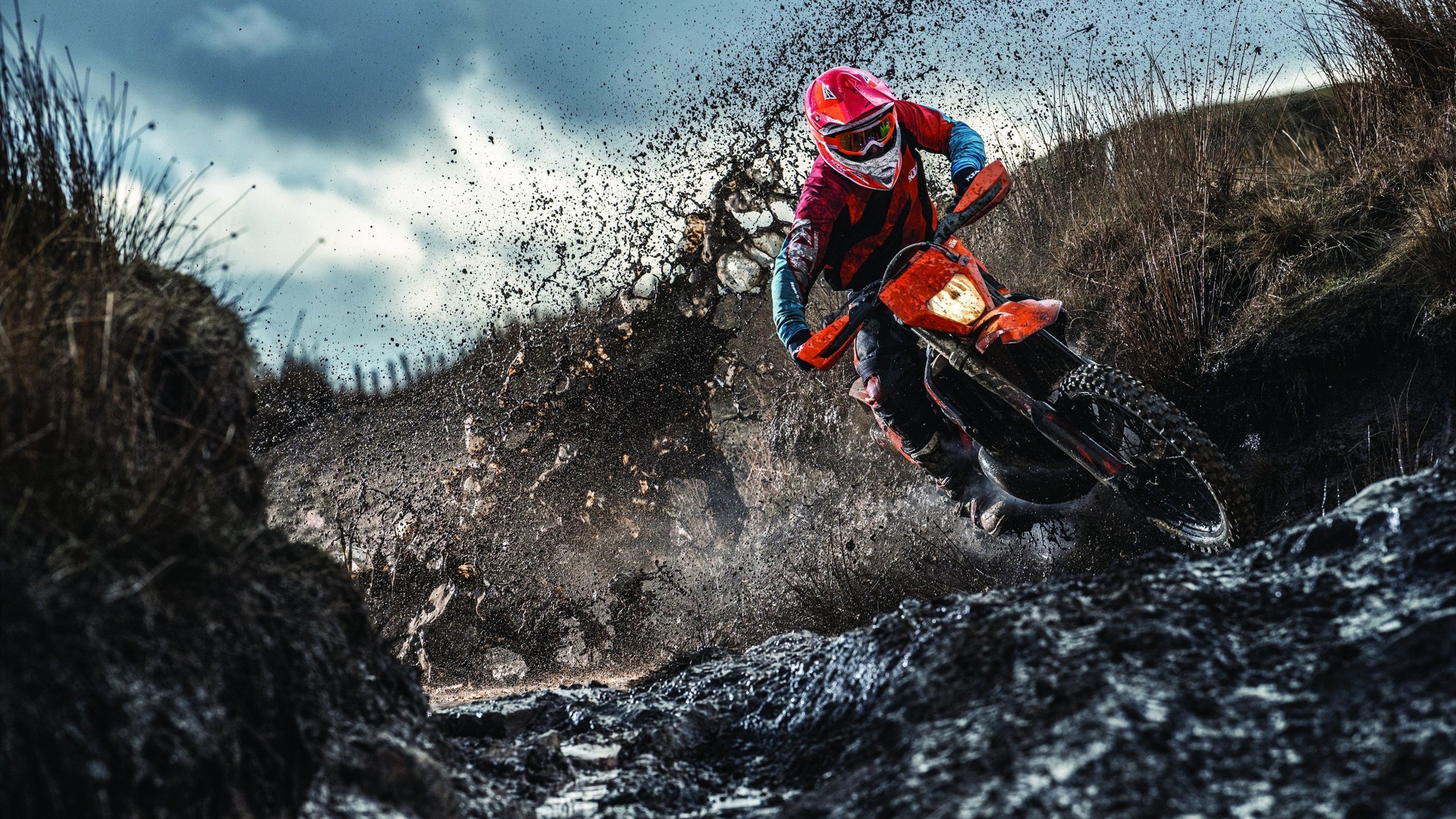 青少年裁判员“线上培训+实战操练”体系全国推广，行业公正持续深化